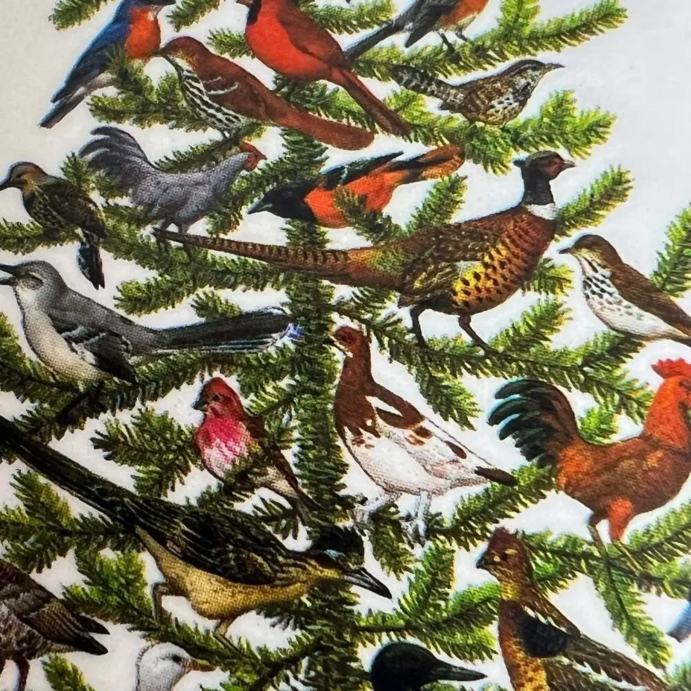 Pimpernel Americas Tree State Birds Coaster Set 6 Christmas 1978 Box Festive Vtg